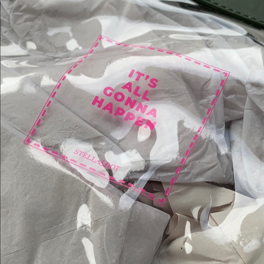 🆕 Stella & Dot The Game Changer Clear Mini - Picture 5 of 9